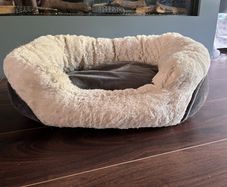 cat bed