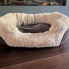 cat bed