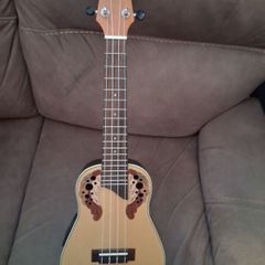 Electro acoustic ukulele