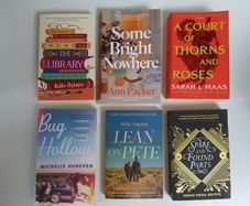 Fiction books