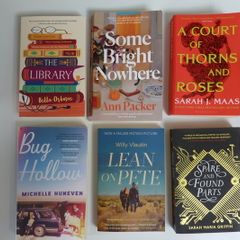 Fiction books