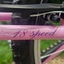 24" girls bicycle Image 2