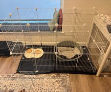 dog pen