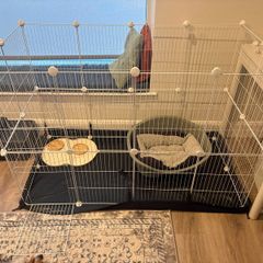 dog pen