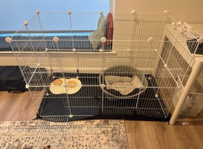 dog pen