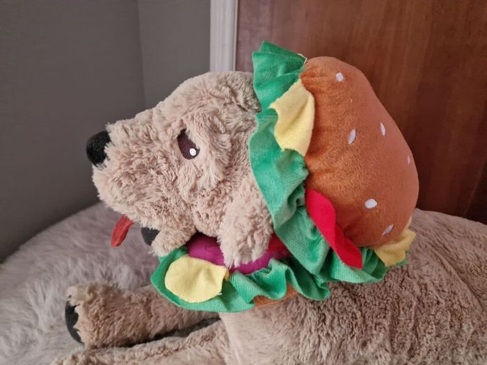 dog cloth