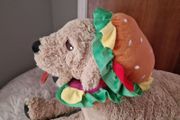 dog cloth