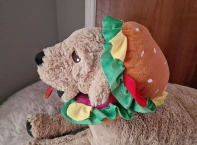 dog cloth