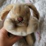 Vintage Steiff bunny Image 3