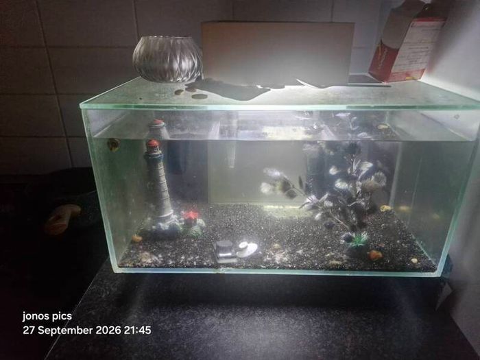 fish tank