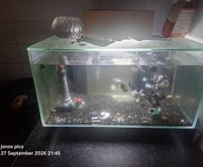 fish tank