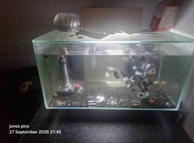 fish tank