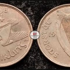 [#2167] - Ireland 1937 | Irish 1/4d | Farthing | Woodcock | KM.1 | High Grade