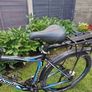 Bike Image 7
