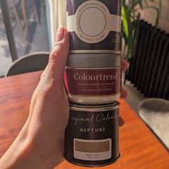 Paint samples