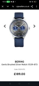 Bering Men's Watch