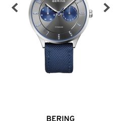 Bering Men's Watch