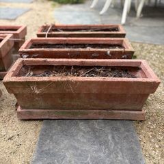 Window Boxes with Trays