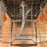 Hotpoint Inverter Dishwasher Image 5