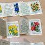 Kensitas Medium Silk Cigarette Cards Flowers 1934 - 31 Medium and 4 Small Image 4