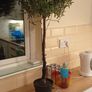 Plastic Tree Image 2