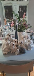 Lot Of King Charles Spaniels X 10