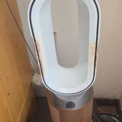 Dyson Fan