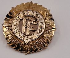 Irish Defence Forces Cap Badge - Oglaigh na hEireann