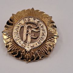 Irish Defence Forces Cap Badge - Oglaigh na hEireann