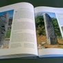 Ancient Ireland from prehistory to the Middle Ages Irish history Image 9