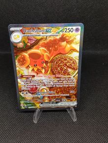 Dachsbun ex Pokemon Card