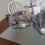 Tea light ornamental bears 10e each Image 2