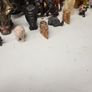 Collection Of Elephants Image 4