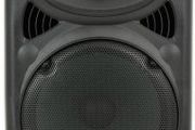 12" Speaker Portable PA