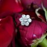 Vintage 1950/60s Diamond Daisy Flower Ring - 18ct & Platinum Image 4