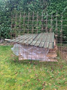 Mesh Reinforcement