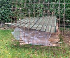 Mesh Reinforcement