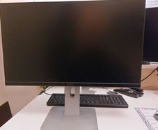 Dell 24" LCD Monitor