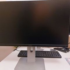 Dell 24" LCD Monitor