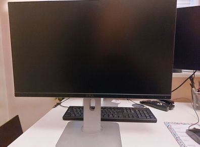 Dell 24" LCD Monitor