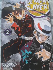 demon slayer vol 2