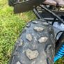 150cc quadzilla dunne buggy Image 7