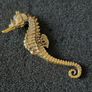 3 brass animals, Solid brass. Image 8