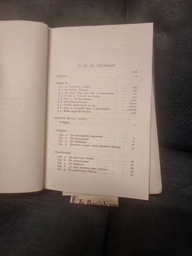 Smaointe beatha Chriost. I .innsint Ghealge a chuir Tomas Gruamdha OBrachain... (Hardcover)