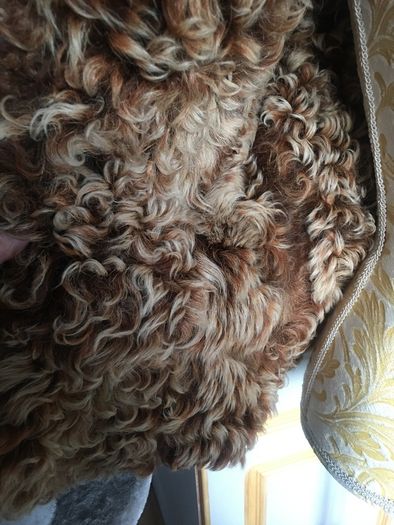Real shearling waistcoat, good condition, size 10