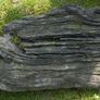 Antique Bog Oak - Garden Decoration Image 6