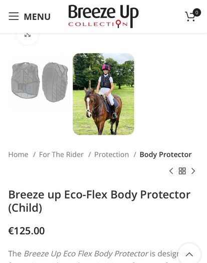 Horse riding back protector