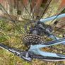 Giant Rapid 3 Hybrid Road Bike  Medium Frame (Carbon Fork) Image 6