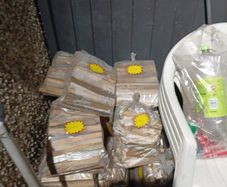 bags of Kindle