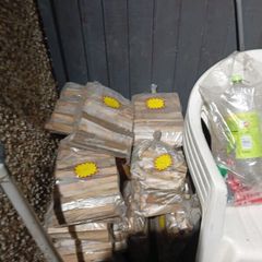 bags of Kindle